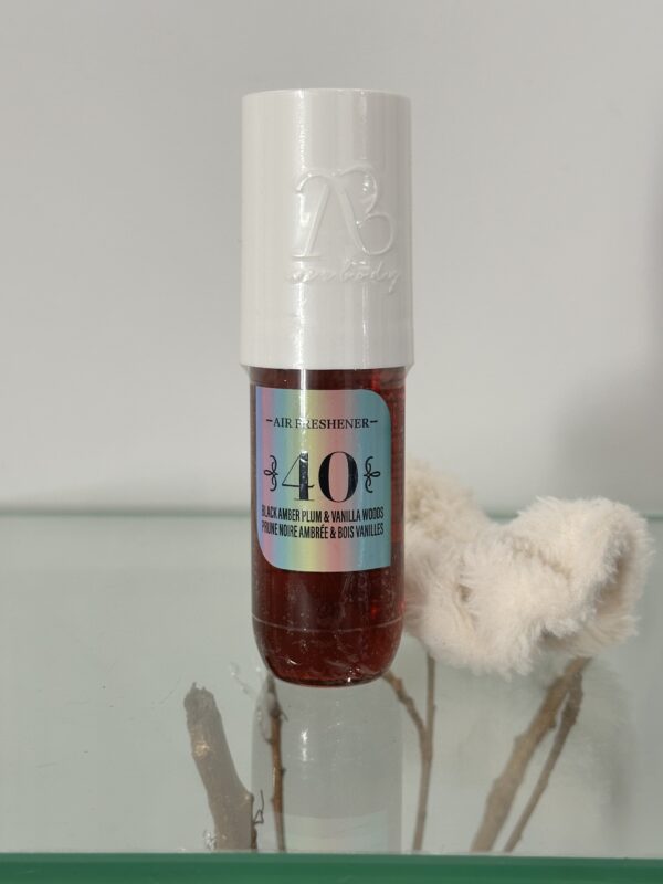 Brume 40